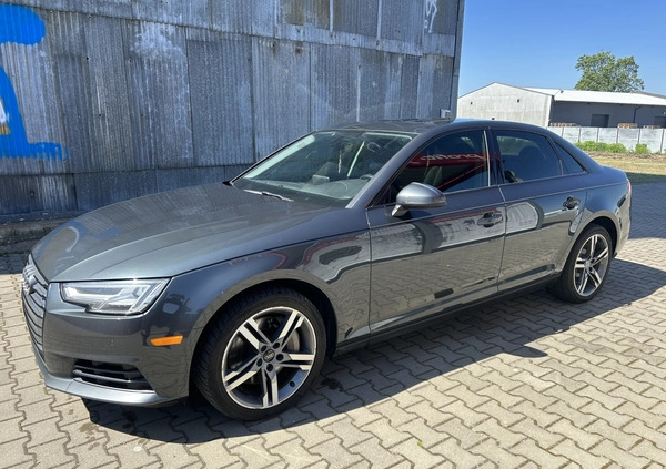 Audi A4 cena 73900 przebieg: 220000, rok produkcji 2017 z Radziejów małe 232